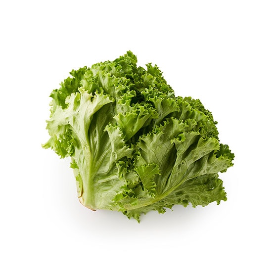 ՂT_ O[[t^X(錧Y)