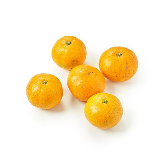 قǂ悢_ƊÂ ˓݂(LY)