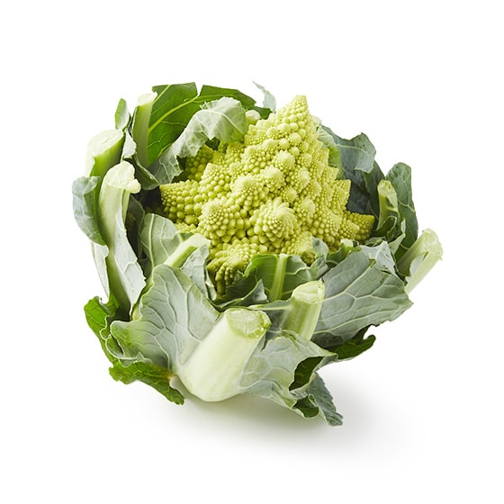 �z�N�z�N��?���I���}�l�X�R(��ʌ��Y)