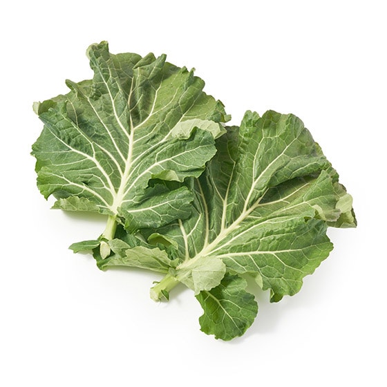 u߂Ă`ƊÂ݃AbvInj[P[(ÉY)