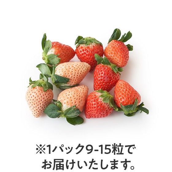 g(WEق̂ ꌧY)
