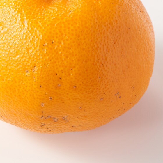 �����_�����Ă��邱�Ƃ��������܂����H���ɖ��͂������܂���