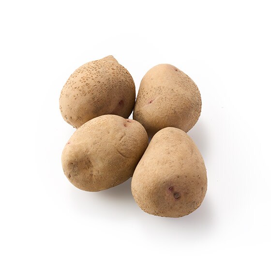 100日熟成 じゃがいもはるか 北海道産 有機野菜 通販 ｏｉｓｉｘ おいしっくす