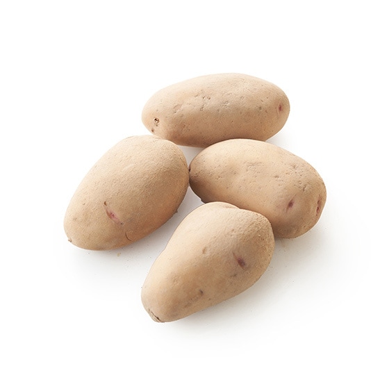 100���n��!�����Ƃ�Z�Â��Ⴊ����(�͂邩)