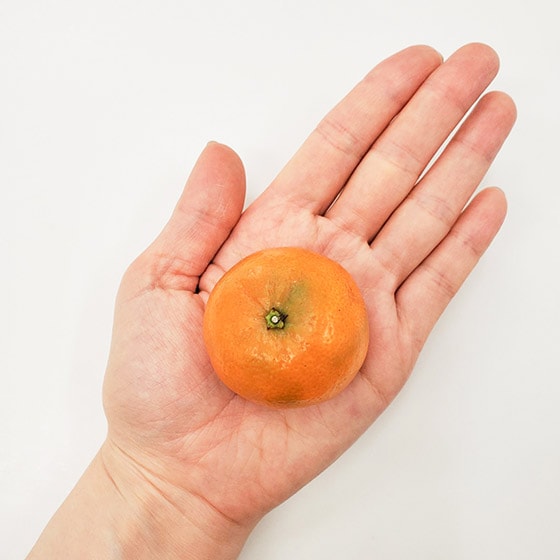 みかんのように手で皮がむける ロリポップオレンジ 有機野菜 通販 ｏｉｓｉｘ おいしっくす