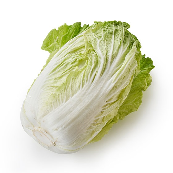 Â݂݂ t(1 錧Y)