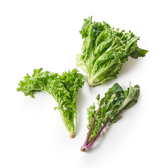 リーフレタスとわさび菜のサラダセット 宮城県産 有機野菜 通販 ｏｉｓｉｘ おいしっくす