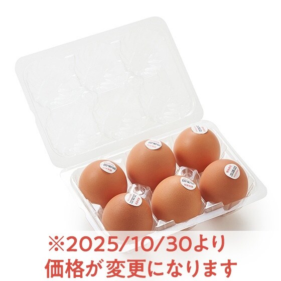 のびのび育ちでコクしっかり!平飼い有精卵(6個)