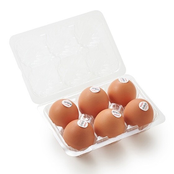 �̂т̂ш炿�ŃR�N��������I�������L�����i6�j