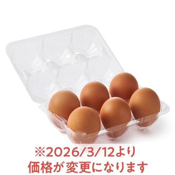 �y�����Ƃ����ݕ���z�ԋʃR�N���܂݂��܂��i6��)