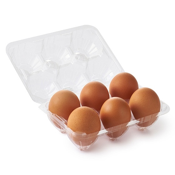 24��̃n�[�u�炿 �R�N���܂݂��܂� �ԋ�6��