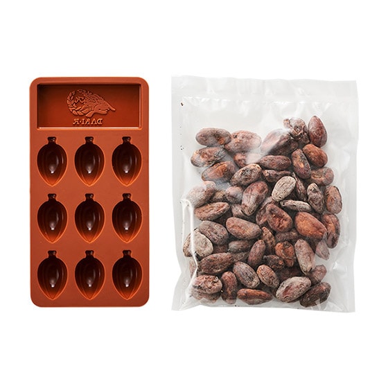 Dari K カカオ豆から手作りチョコレートキット