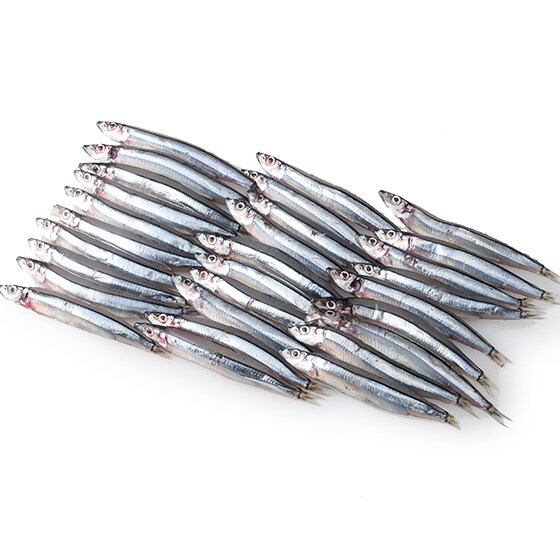 まるごと楽しむ！鹿児島県産 冷凍きびなご150g