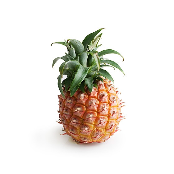 ̂悤ȊÂ Ïnʃs[`pC(ꌧY)