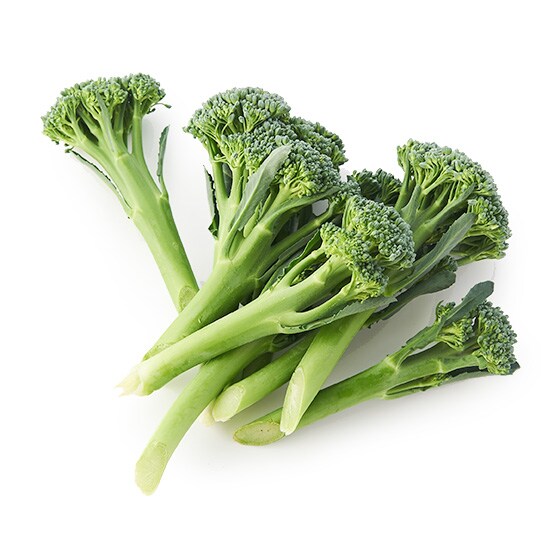 �X�e�B�b�N�u���b�R���[(�_�ސ쌧�Y)