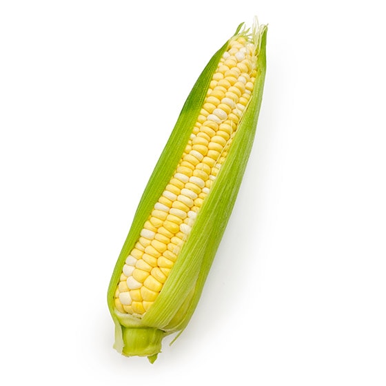 2F̗ÂIȂ悵R[(tY)