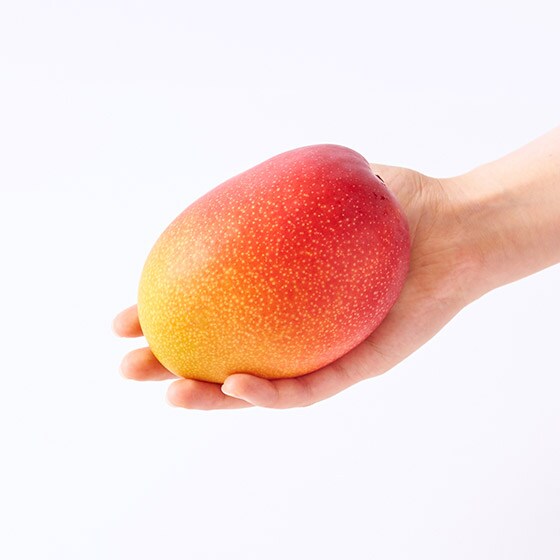 摘果マンゴー　10〜30g 11kg Amazon.co.jp: MDSTORE 沖縄青切りマンゴー 摘果マンゴー Green