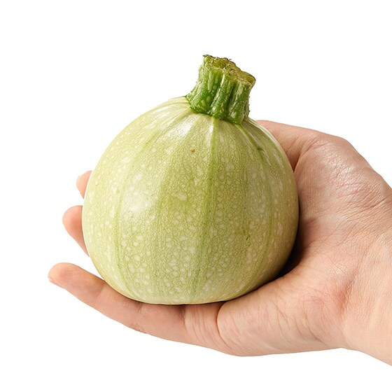 まんまるズッキーニ 黄緑 岩手県産 有機野菜 通販 ｏｉｓｉｘ おいしっくす
