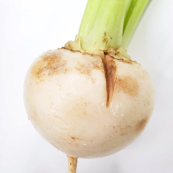 ����⏝�̂�����̂����͂����܂�