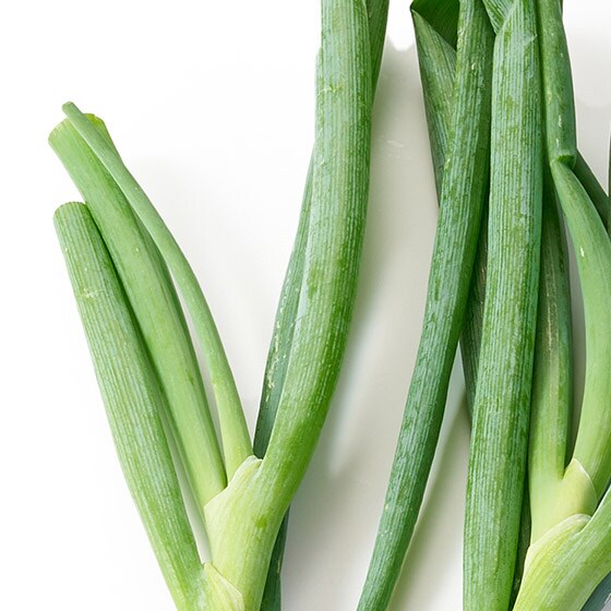 うどんの薬味になりたかった 爽やか青ねぎ 北海道産 有機野菜 通販 ｏｉｓｉｘ おいしっくす