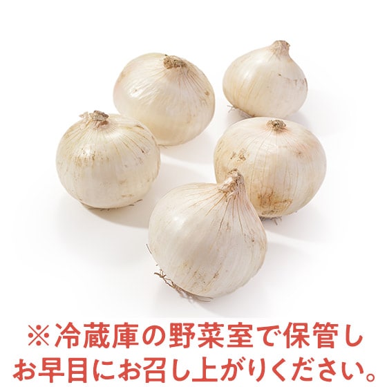 yOisixzӂ낢Pʂ˂(kCY)