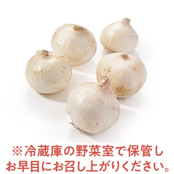 yOisixzӂ낢Pʂ˂(kCY)