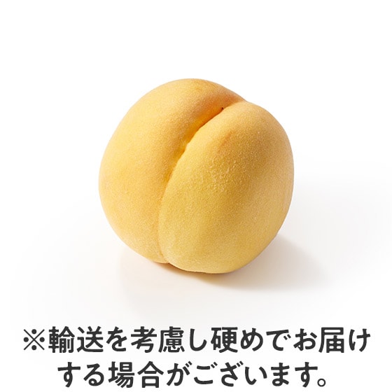 SDZȉʓ ґs[`(쌧Y)