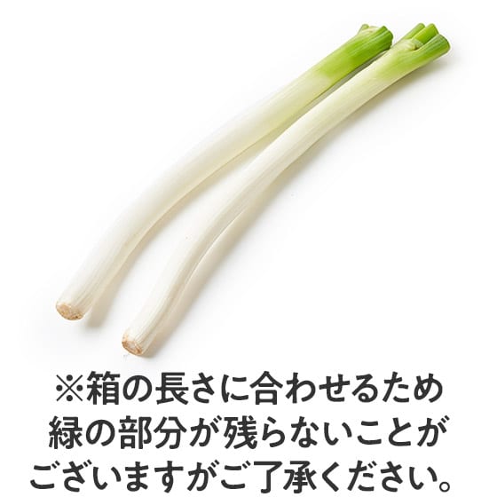 Â݂Ǝ|݂̂ ˂(HcY)