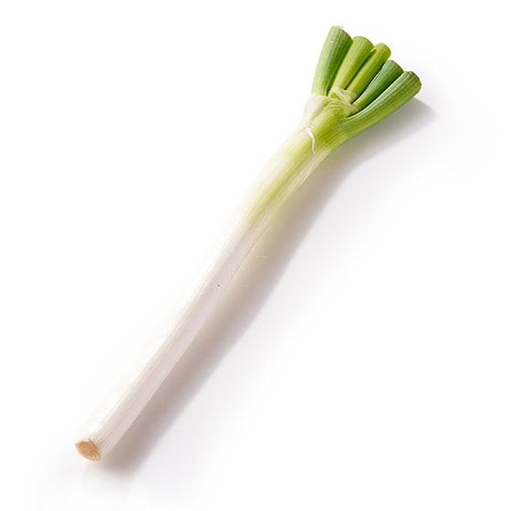 ���M�ŊÂ� ���˂�1�{(�V�����Y)