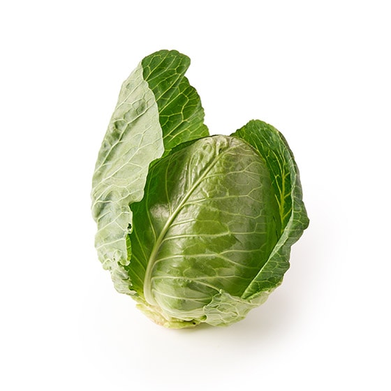 yX؃pxWzƂ񂪂~jLxc(QnY)