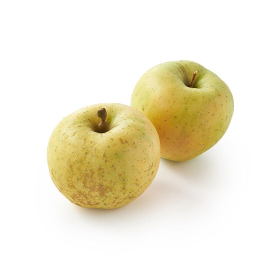 Âʏ`WbIc̃gL(ʂ)