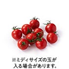 【おたすけOisix】大容量不揃い情熱トマト(千葉県産)