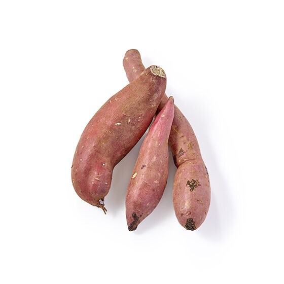 �y��������Osixi�z���܂���(��錧�Y)