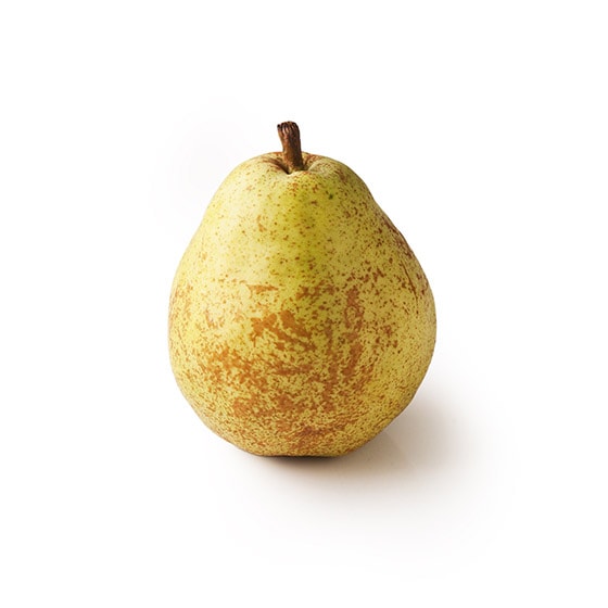 ǏnĂƂ낯Â o[h(m 쌧Y)