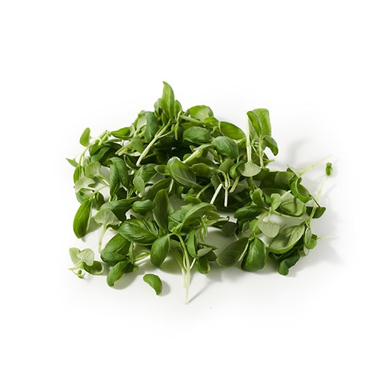 �y�p�b��Vege�z�g�b�s���O�� �v�`�o�W��(�É����Y)