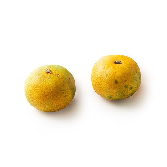食べきり小規格]小玉みかん2玉(愛媛県産)|有機野菜 通販 Ｏｉｓｉｘ