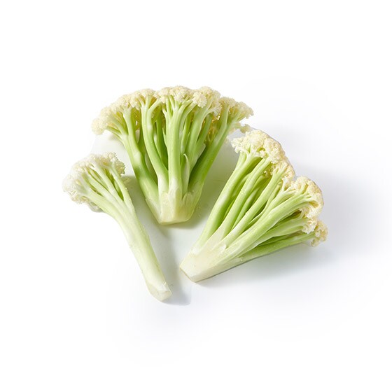 �T�N�|���H�����y���ށI�J���t���[��(���茧�Y)