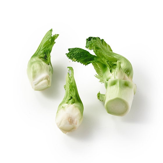 �V�Ղ���u�߂ŁI�ڂݍ�(�R�`���Y)