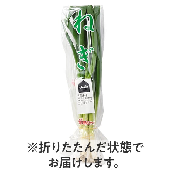 京都府産　無農薬　九条ねぎ苗　900本　本場の京野菜 京都府産 無農薬 九条ねぎ苗 900本 本場の京野菜