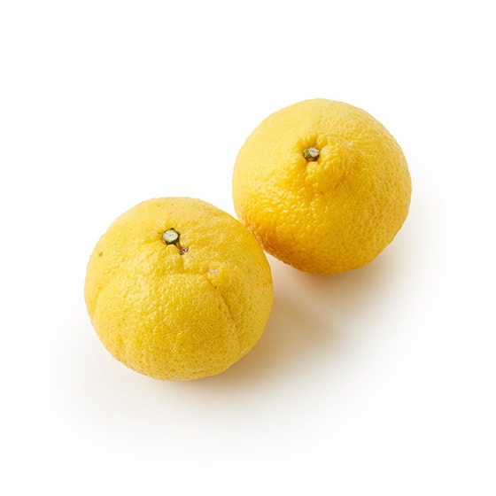 �W���[�V�[�Ŏ_���܂�₩ �Ղ�Â͂邩(�F�{���Y)