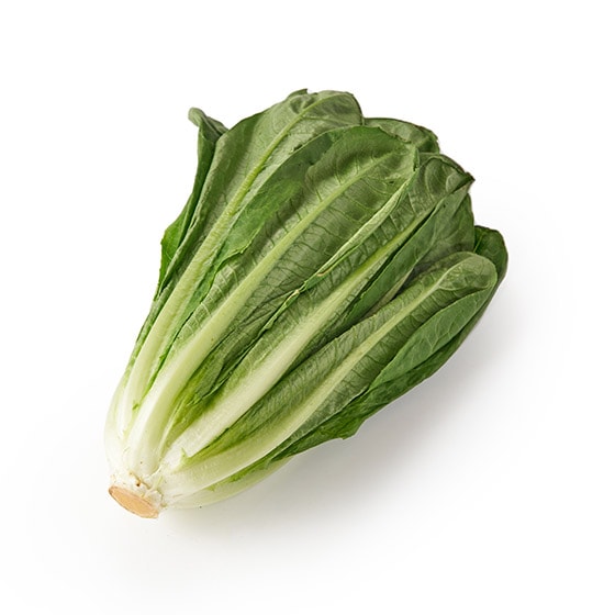 tE݃C^X(ÉY)