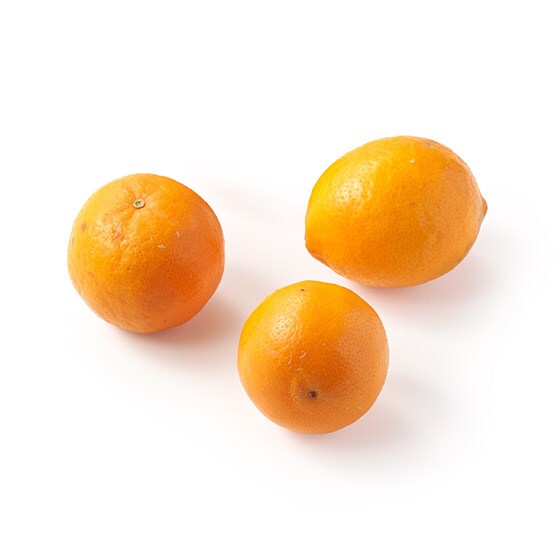 �Z���ȊÂ� �s�N�^��(�~�j�I�����W CA�Y)