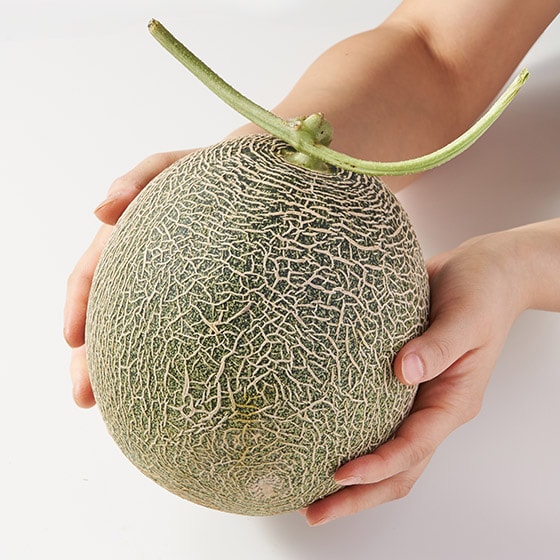 とろける濃厚な甘さ メルティングメロン|有機野菜 通販