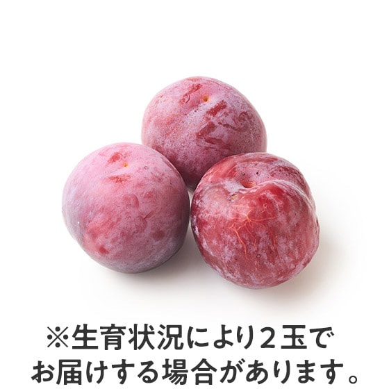 ずっしり濃厚 甘さ溢れる貴陽(すもも)|有機野菜 通販 Oisix