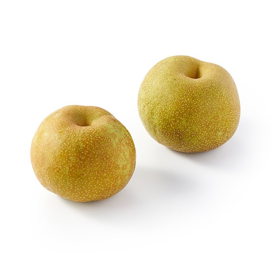 WƈÂʏ` ̍r
