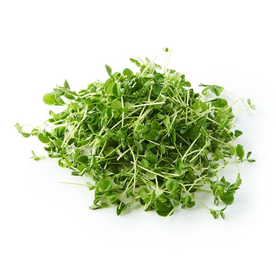 �y�p�b��Vege�z�p�b�Ǝg����I�J�b�g���c(�������Y)