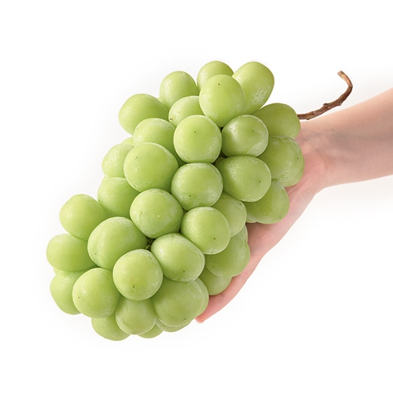 ずっしり1kg超え！王様シャインマスカット(長野県産)|有機野菜 通販