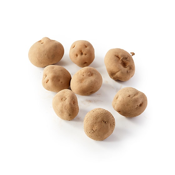 幻の じゃがいも ジャガイモ 16 viva-danred5_thum_01.jpg