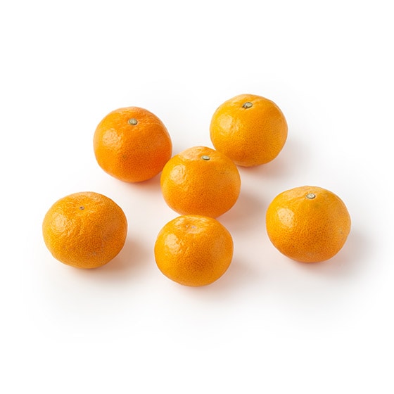 �݂��݂������Â��I�����݂̂���(�F�{���Y)