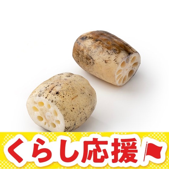 �_�ƃI�u�U�C���[���܎�܁I�������܃X�e�[�L��񂱂�